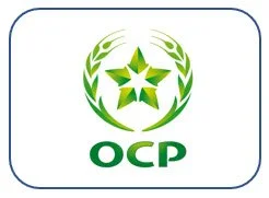 OCP